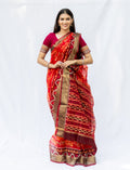 Ikat Cotton Patola Saree - Nirzara
